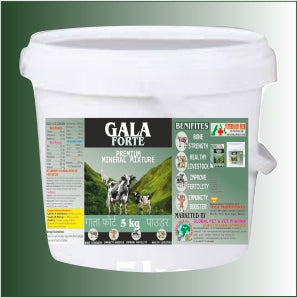 Gala forte