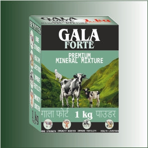 Gala forte
