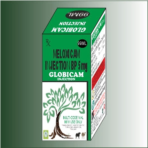GLOBICAM